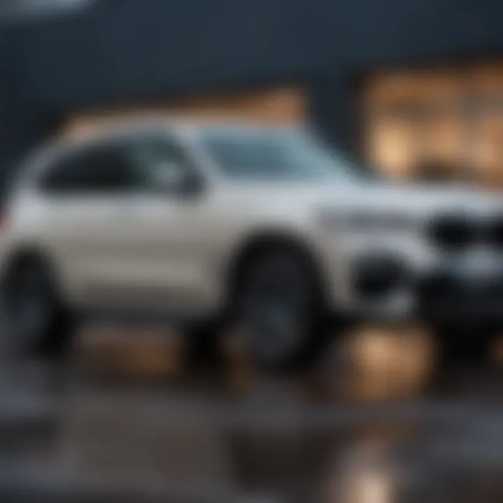 Magnificent Assessing the Cost of a 2019 BMW X3