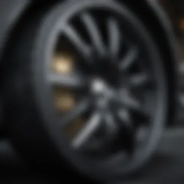 Close-up view of black-dipped rims highlighting their glossy finish and intricate details.