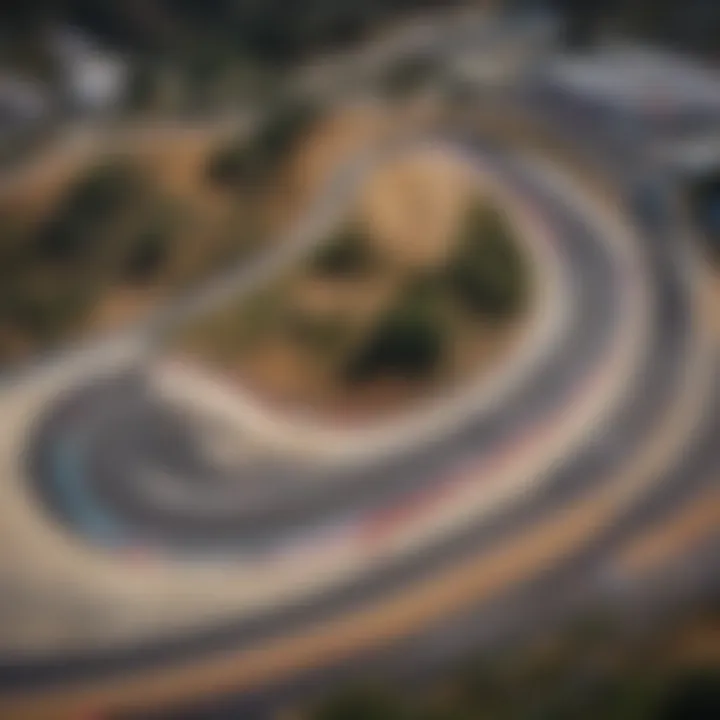 Aerial view of IMSA Laguna Seca showcasing the challenging curves and elevation changes.