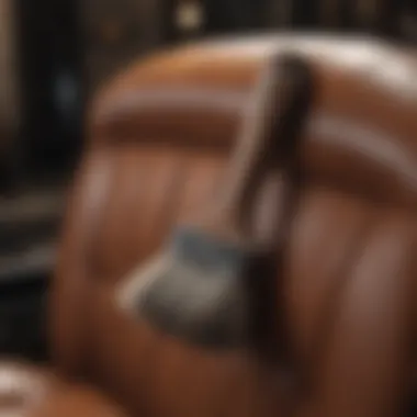 Different types of brushes suitable for leather upholstery