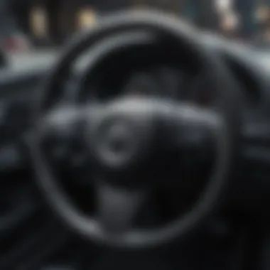 Diverse Styles of Steering Wheel Covers Diverse styles of black steering wheel covers displayed together