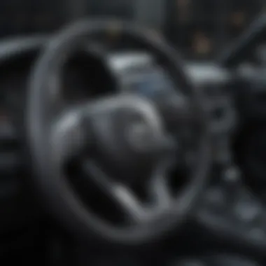 Maintenance Tools for Steering Wheel Covers Maintenance tools and products for black steering wheel covers